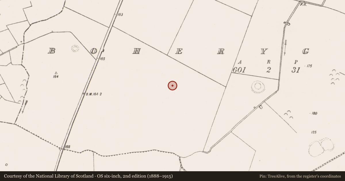 Ordnance Survey six-inch map, 2nd edition (1888–1915) covering the location of Enclosure, Boherygeela, County Limerick, with a pin at the register's coordinates