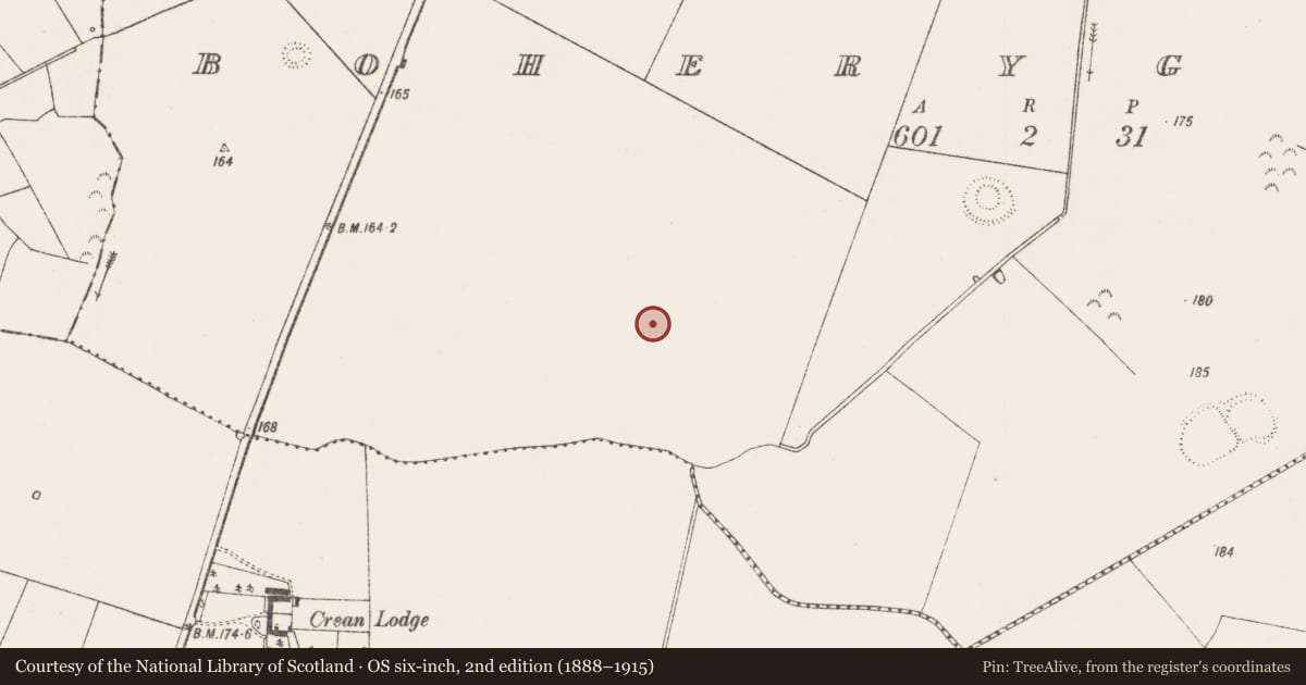 Ordnance Survey six-inch map, 2nd edition (1888–1915) covering the location of Moated site, Boherygeela, County Limerick, with a pin at the register's coordinates