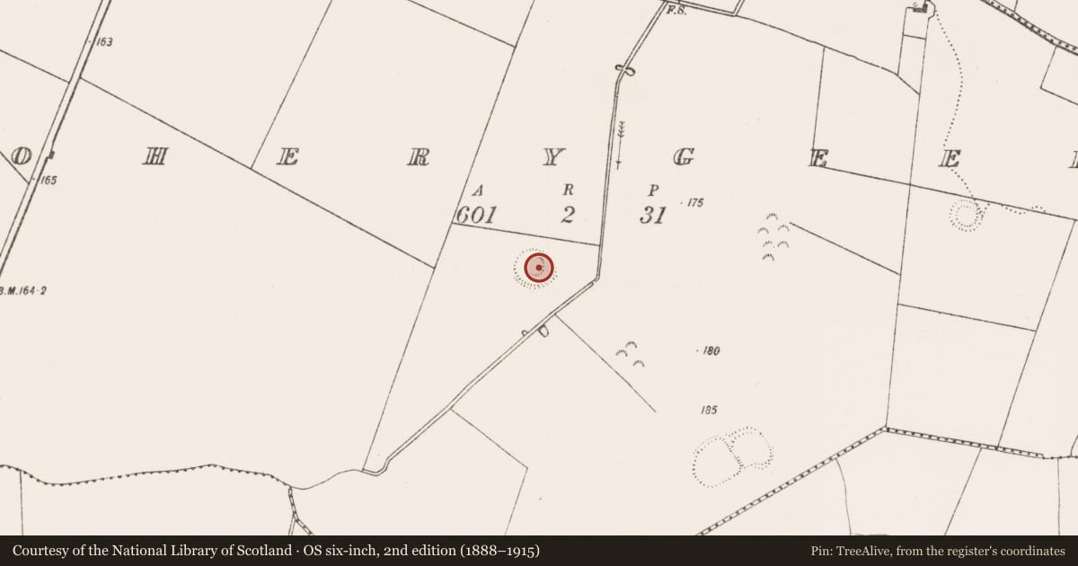 Ordnance Survey six-inch map, 2nd edition (1888–1915) covering the location of Concentric enclosure, Boherygeela, County Limerick, with a pin at the register's coordinates