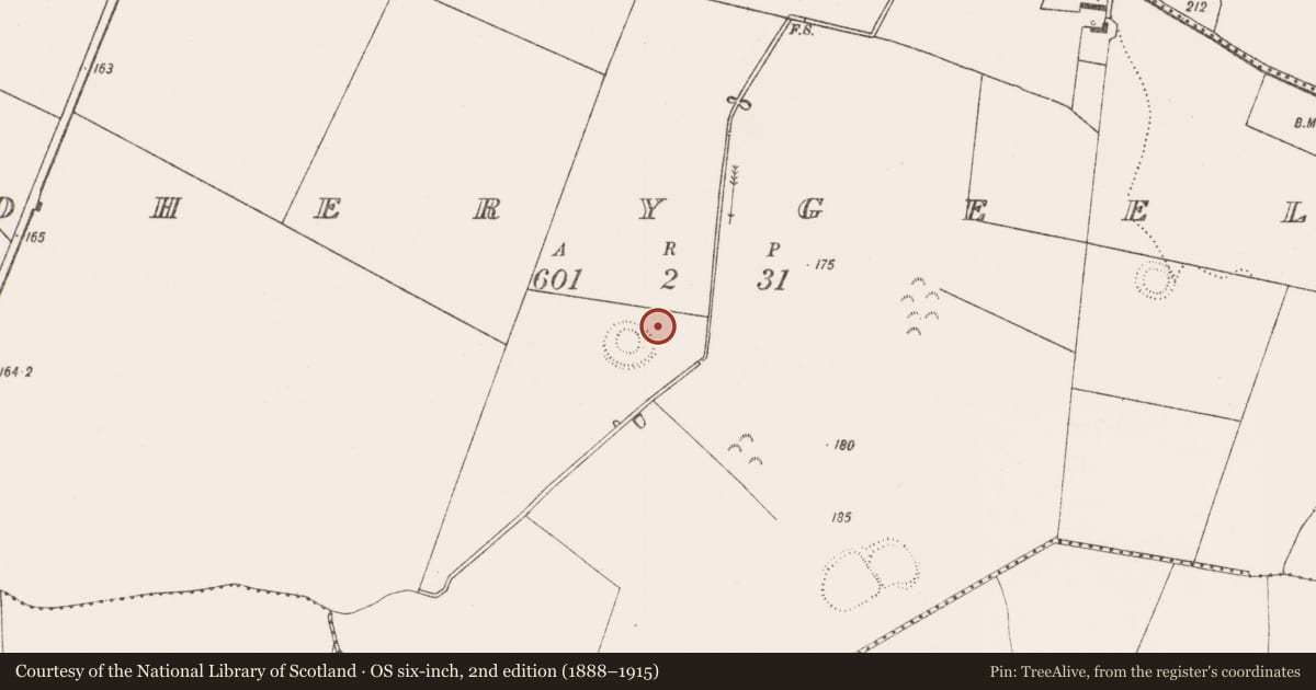 Ordnance Survey six-inch map, 2nd edition (1888–1915) covering the location of Enclosure, Boherygeela, County Limerick, with a pin at the register's coordinates