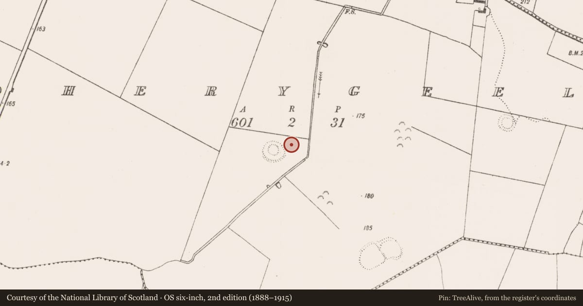 Ordnance Survey six-inch map, 2nd edition (1888–1915) covering the location of Enclosure, Boherygeela, County Limerick, with a pin at the register's coordinates