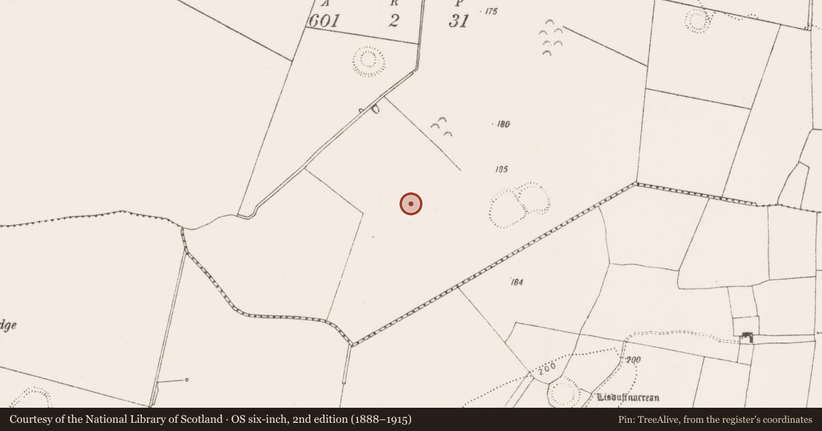 Ordnance Survey six-inch map, 2nd edition (1888–1915) covering the location of Road - road/trackway, Boherygeela, County Limerick, with a pin at the register's coordinates
