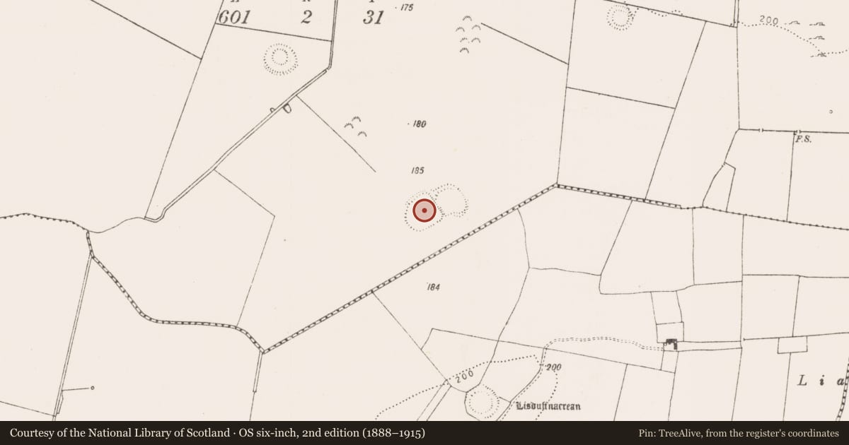 Ordnance Survey six-inch map, 2nd edition (1888–1915) covering the location of Ringfort - rath, Boherygeela, County Limerick, with a pin at the register's coordinates