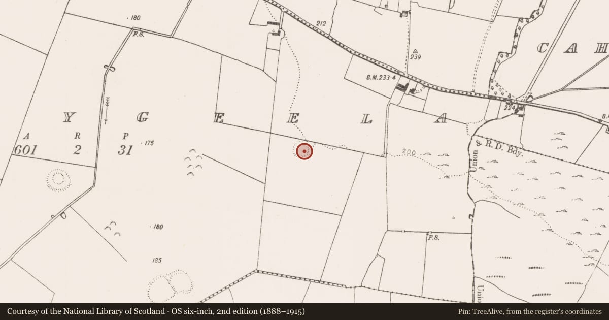Ordnance Survey six-inch map, 2nd edition (1888–1915) covering the location of Henge, Boherygeela, County Limerick, with a pin at the register's coordinates