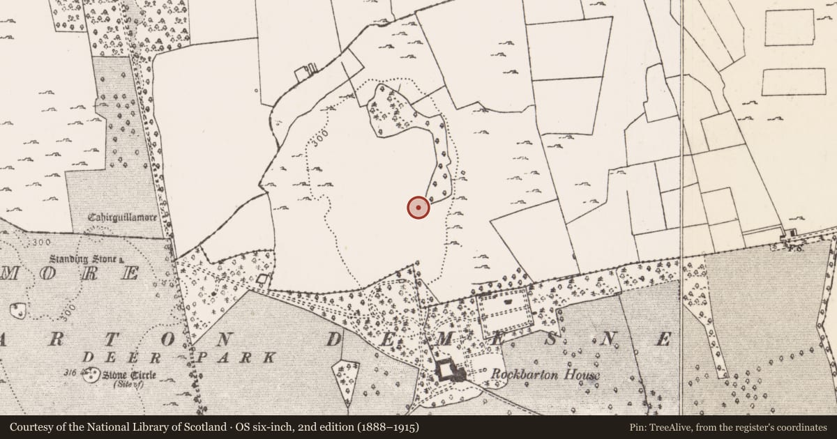 Ordnance Survey six-inch map, 2nd edition (1888–1915) covering the location of Ringfort - cashel, Raheen, County Limerick, with a pin at the register's coordinates