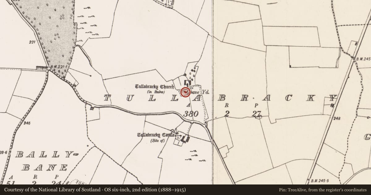 Ordnance Survey six-inch map, 2nd edition (1888–1915) covering the location of Graveyard, Tullabracky, County Limerick, with a pin at the register's coordinates