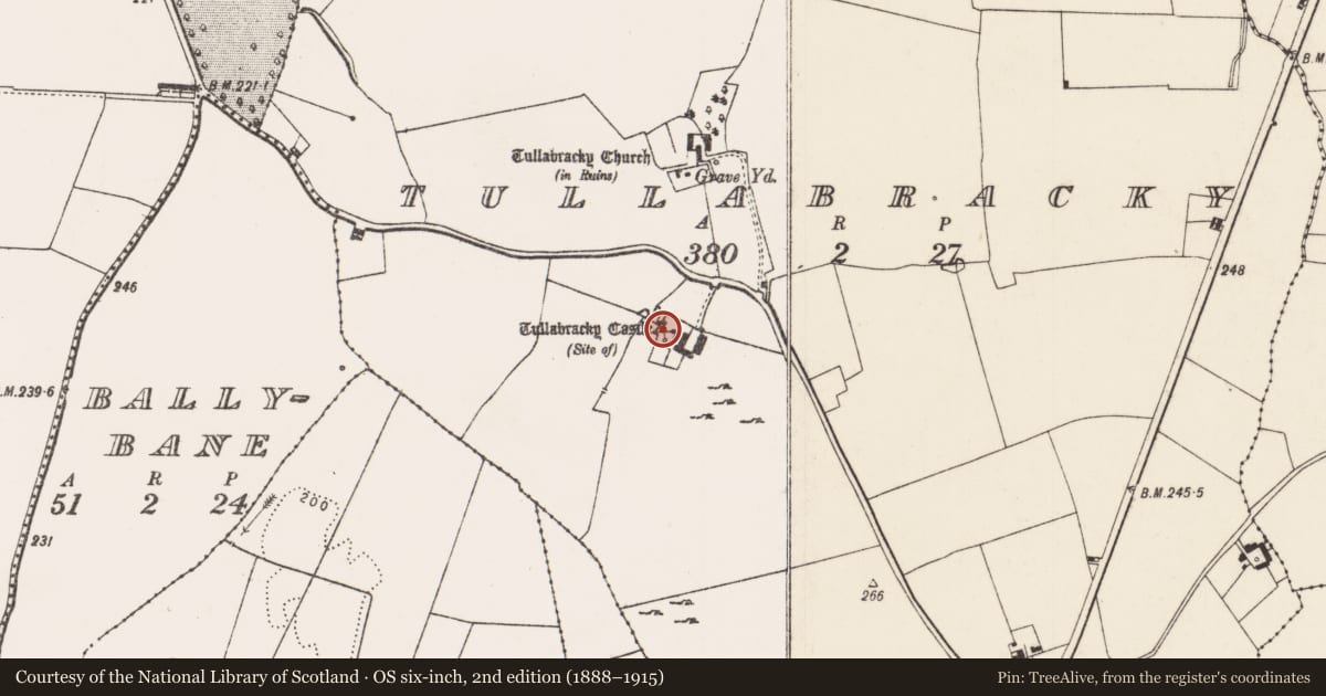 Ordnance Survey six-inch map, 2nd edition (1888–1915) covering the location of Castle - unclassified, Tullabracky, County Limerick, with a pin at the register's coordinates