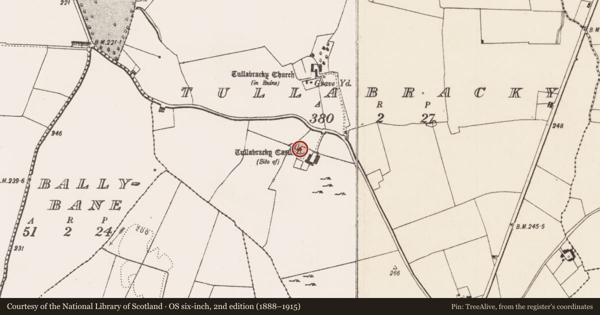 Ordnance Survey six-inch map, 2nd edition (1888–1915) covering the location of Ritual site - holy well, Tullabracky, County Limerick, with a pin at the register's coordinates