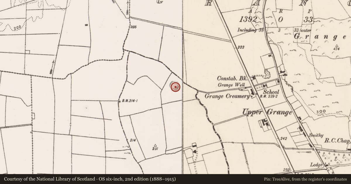 Ordnance Survey six-inch map, 2nd edition (1888–1915) covering the location of Ringfort - rath, Raheen, County Limerick, with a pin at the register's coordinates