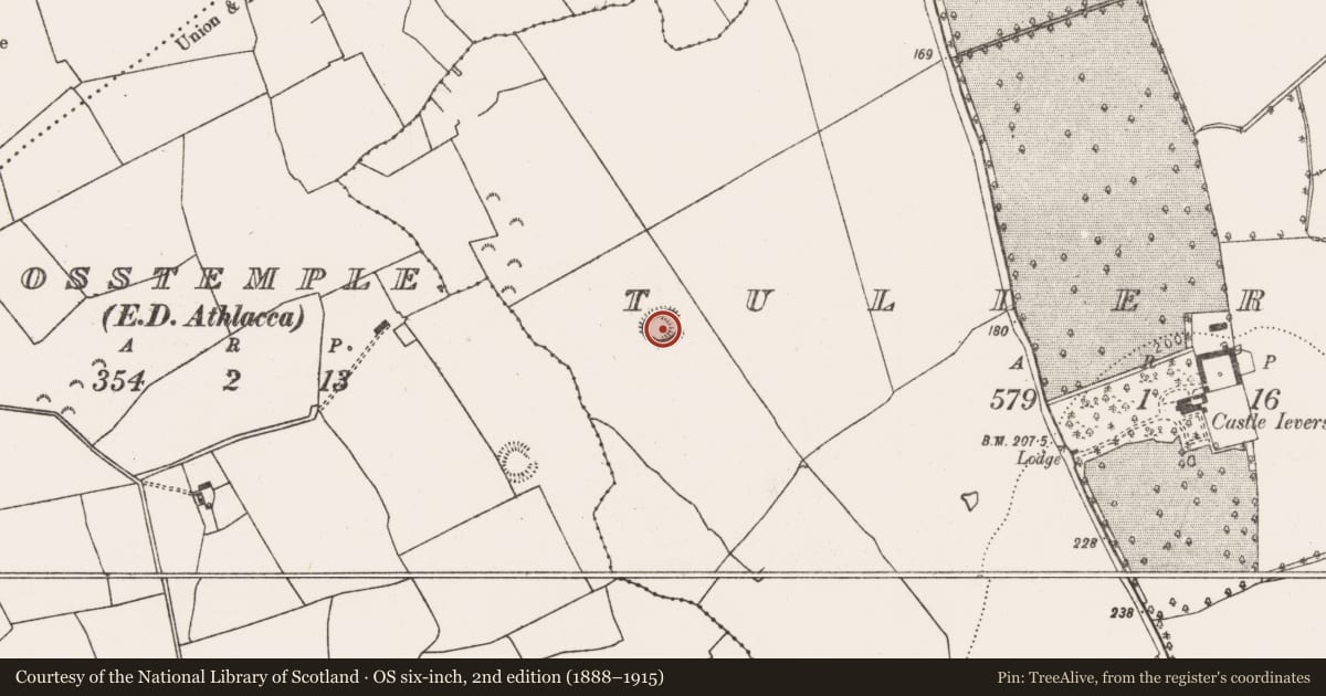 Ordnance Survey six-inch map, 2nd edition (1888–1915) covering the location of Ringfort - rath, Tullerboy, County Limerick, with a pin at the register's coordinates