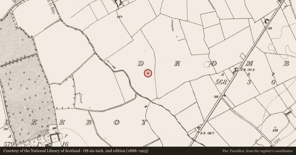 Ordnance Survey six-inch map, 2nd edition (1888–1915) covering the location of Ringfort - rath, Drombeg, County Limerick, with a pin at the register's coordinates