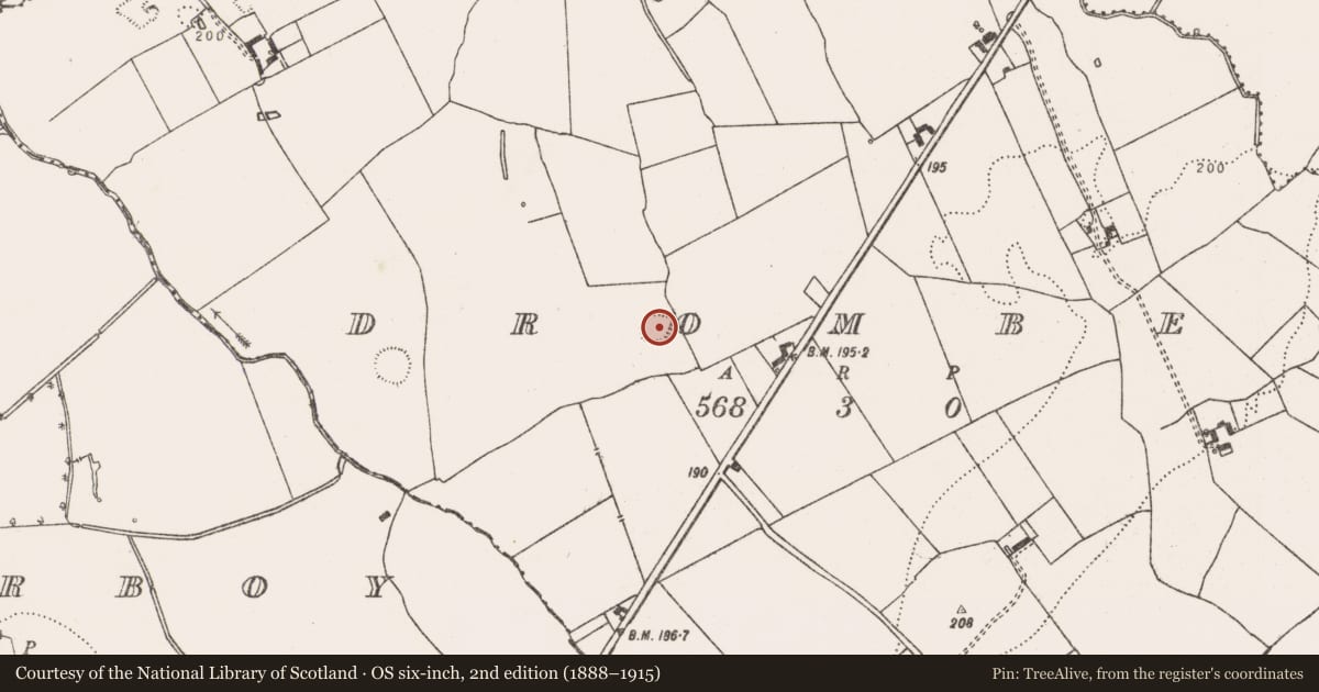 Ordnance Survey six-inch map, 2nd edition (1888–1915) covering the location of Ringfort - rath, Drombeg, County Limerick, with a pin at the register's coordinates
