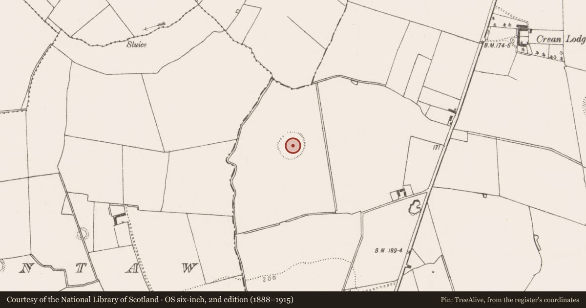 Ordnance Survey six-inch map, 2nd edition (1888–1915) covering the location of Enclosure - large enclosure, Crean, County Limerick, with a pin at the register's coordinates