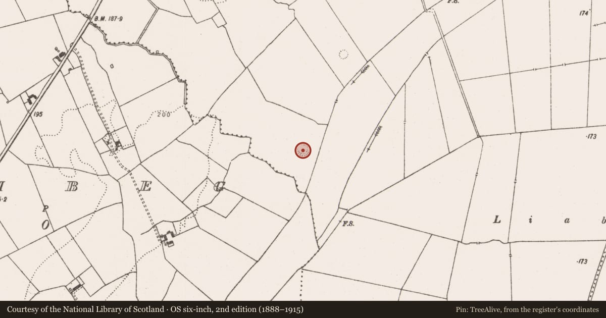 Ordnance Survey six-inch map, 2nd edition (1888–1915) covering the location of Ringfort - rath, Crean, County Limerick, with a pin at the register's coordinates
