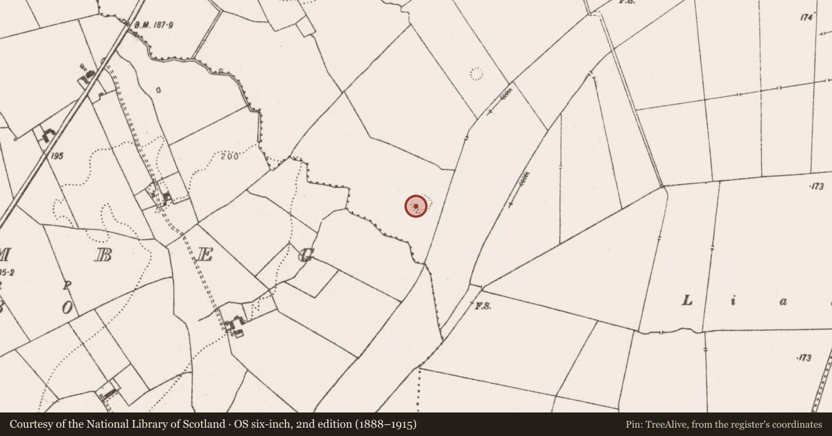 Ordnance Survey six-inch map, 2nd edition (1888–1915) covering the location of Souterrain, Crean, County Limerick, with a pin at the register's coordinates