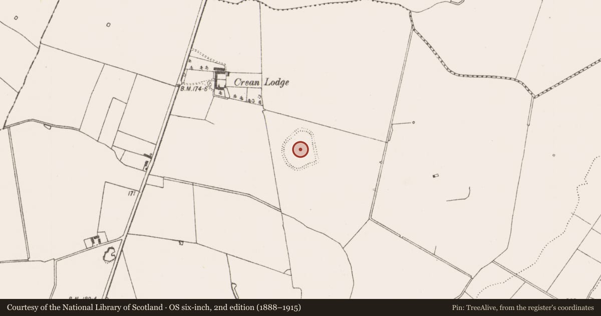 Ordnance Survey six-inch map, 2nd edition (1888–1915) covering the location of Enclosure - large enclosure, Crean, County Limerick, with a pin at the register's coordinates