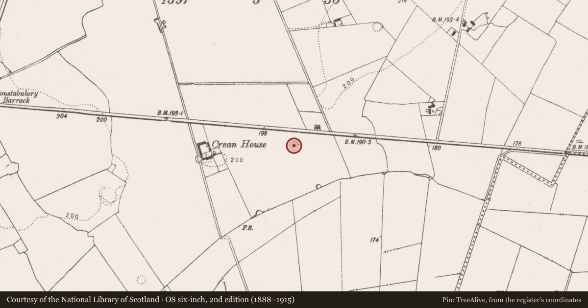 Ordnance Survey six-inch map, 2nd edition (1888–1915) covering the location of Ringfort - rath, Crean, County Limerick, with a pin at the register's coordinates