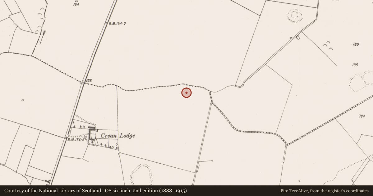 Ordnance Survey six-inch map, 2nd edition (1888–1915) covering the location of Enclosure, Crean, County Limerick, with a pin at the register's coordinates
