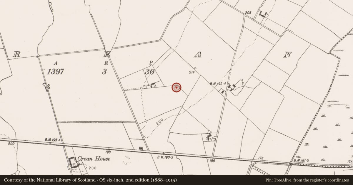 Ordnance Survey six-inch map, 2nd edition (1888–1915) covering the location of Ringfort - rath, Crean, County Limerick, with a pin at the register's coordinates