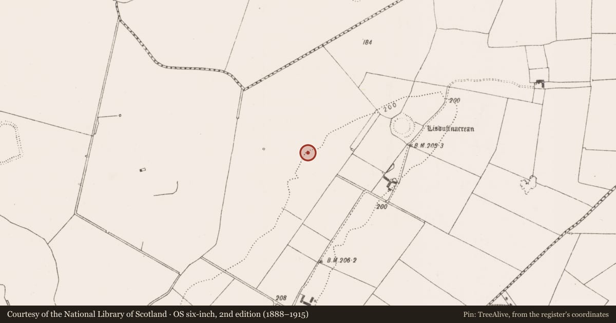 Ordnance Survey six-inch map, 2nd edition (1888–1915) covering the location of Enclosure, Crean, County Limerick, with a pin at the register's coordinates