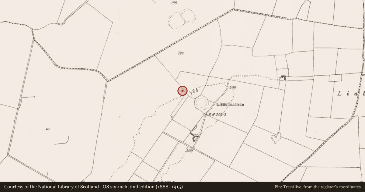 Ordnance Survey six-inch map, 2nd edition (1888–1915) covering the location of Barrow - ditch barrow, Crean, County Limerick, with a pin at the register's coordinates