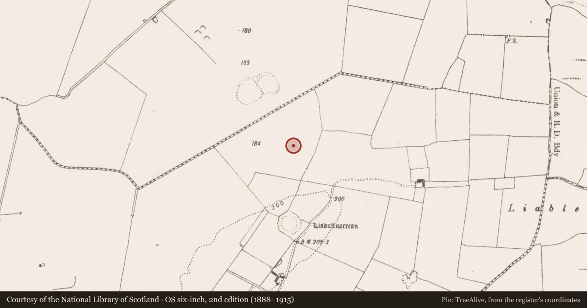 Ordnance Survey six-inch map, 2nd edition (1888–1915) covering the location of Enclosure, Crean, County Limerick, with a pin at the register's coordinates