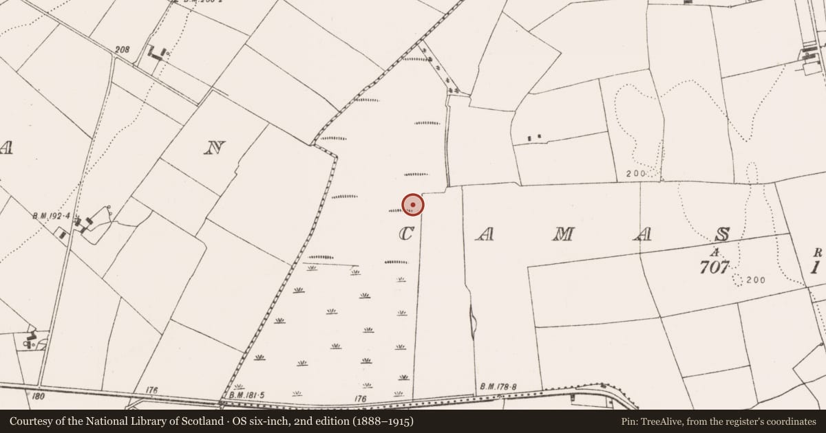Ordnance Survey six-inch map, 2nd edition (1888–1915) covering the location of Enclosure, Camas North, County Limerick, with a pin at the register's coordinates