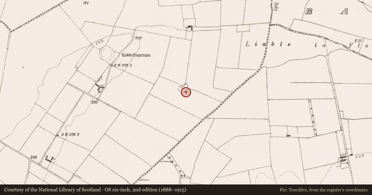 Ordnance Survey six-inch map, 2nd edition (1888–1915) covering the location of Moated site, Crean, County Limerick, with a pin at the register's coordinates