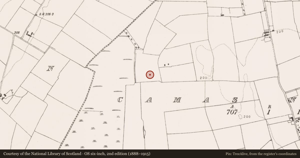 Ordnance Survey six-inch map, 2nd edition (1888–1915) covering the location of Enclosure, Camas North, County Limerick, with a pin at the register's coordinates