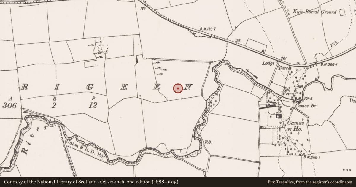 Ordnance Survey six-inch map, 2nd edition (1888–1915) covering the location of Barrow - ring-barrow, Carrigeen, County Limerick, with a pin at the register's coordinates
