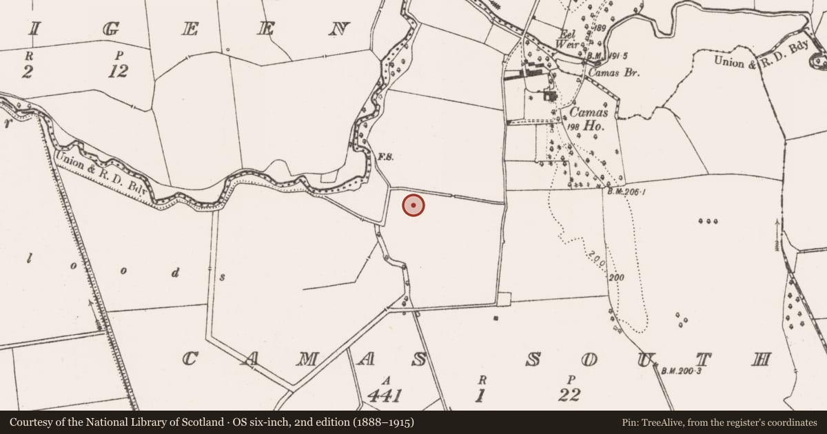 Ordnance Survey six-inch map, 2nd edition (1888–1915) covering the location of Barrow - ditch barrow, Camas South, County Limerick, with a pin at the register's coordinates