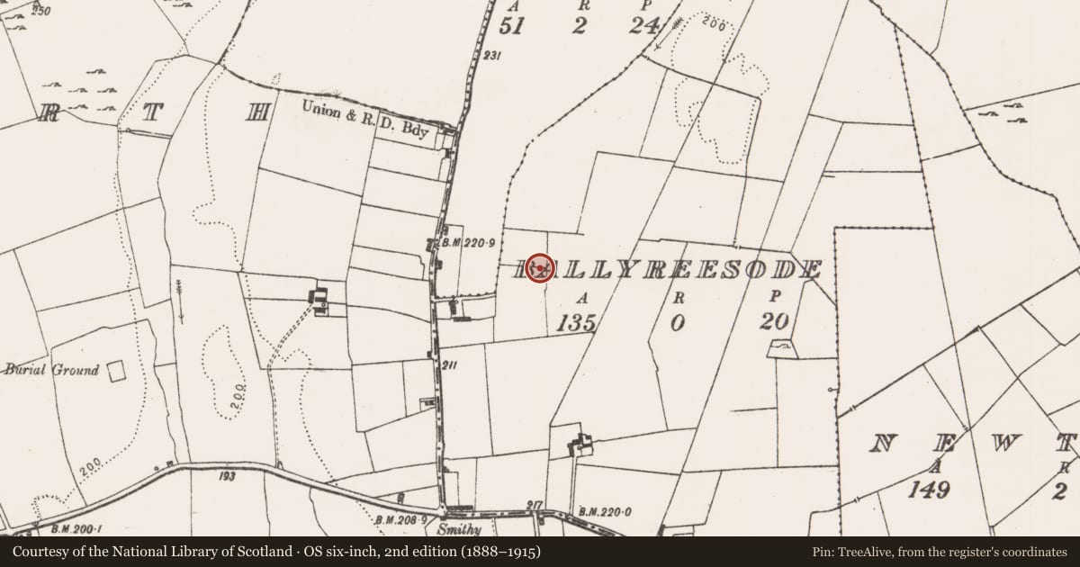 Ordnance Survey six-inch map, 2nd edition (1888–1915) covering the location of Enclosure, Ballyreesode, County Limerick, with a pin at the register's coordinates