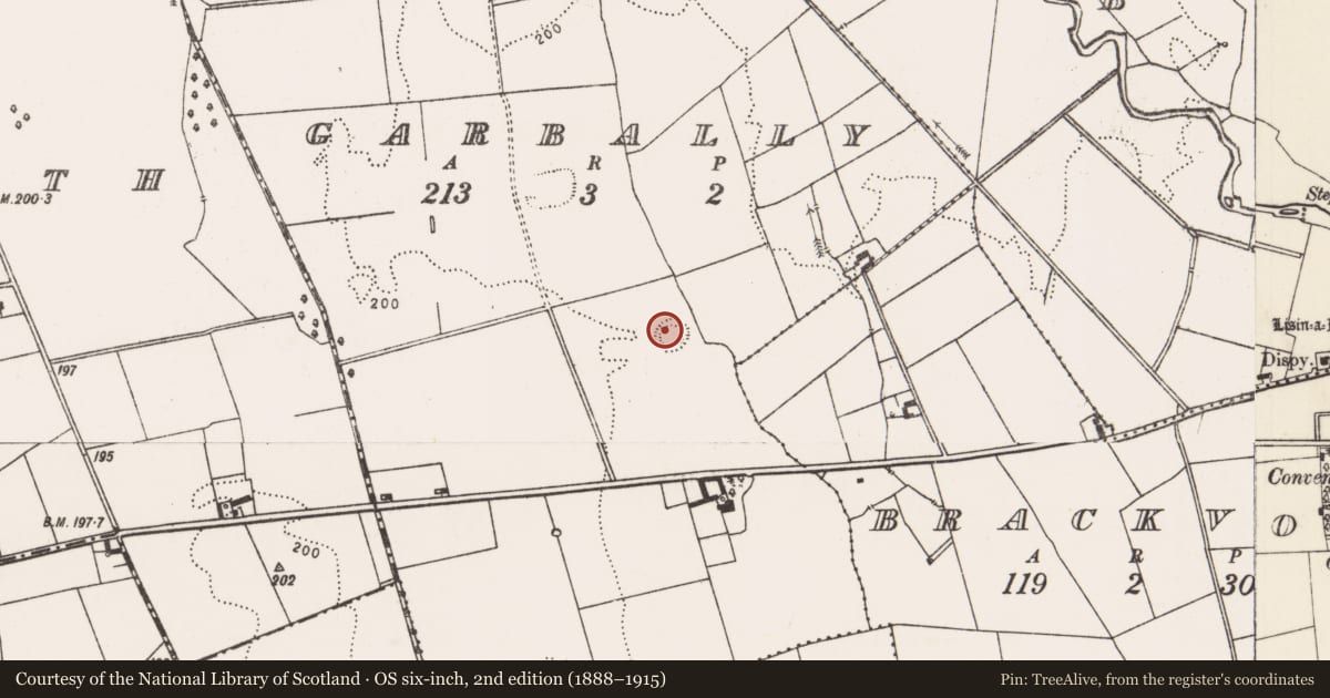 Ordnance Survey six-inch map, 2nd edition (1888–1915) covering the location of Ringfort - rath, Garbally, County Limerick, with a pin at the register's coordinates