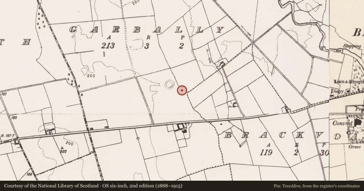 Ordnance Survey six-inch map, 2nd edition (1888–1915) covering the location of Enclosure, Garbally, County Limerick, with a pin at the register's coordinates