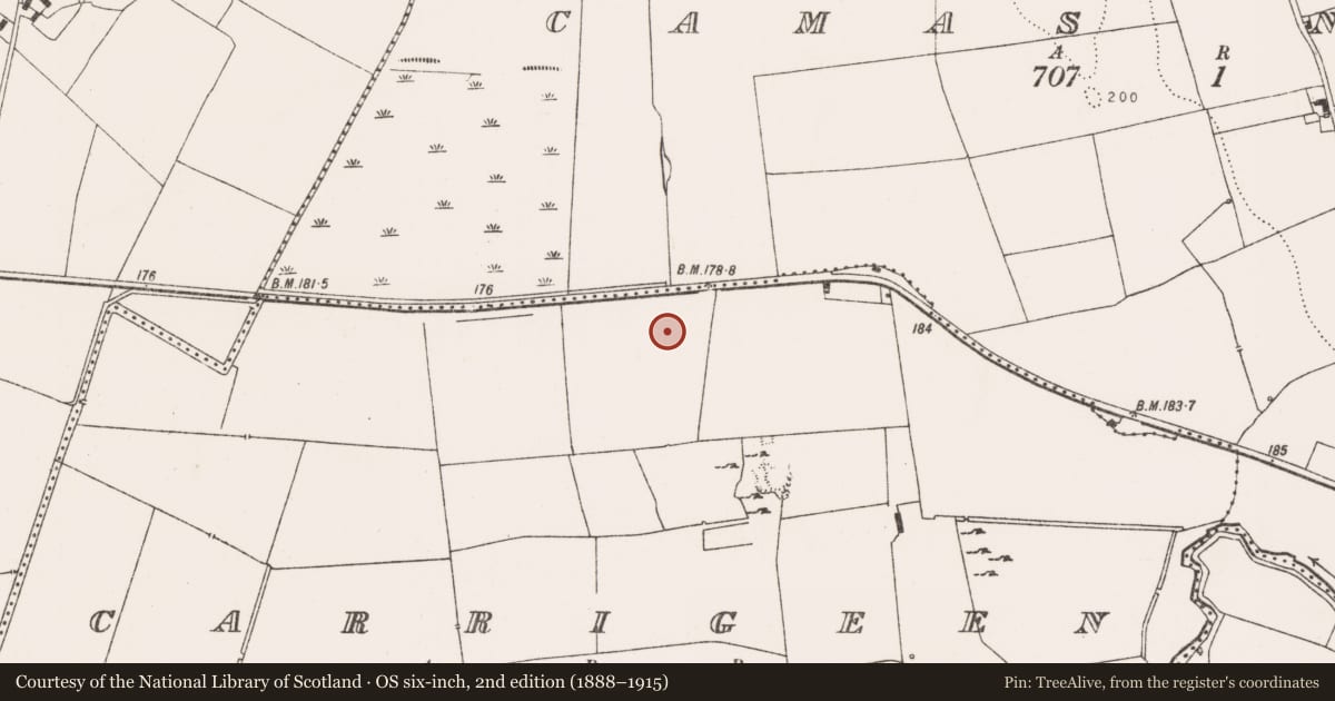 Ordnance Survey six-inch map, 2nd edition (1888–1915) covering the location of Mound, Carrigeen, County Limerick, with a pin at the register's coordinates