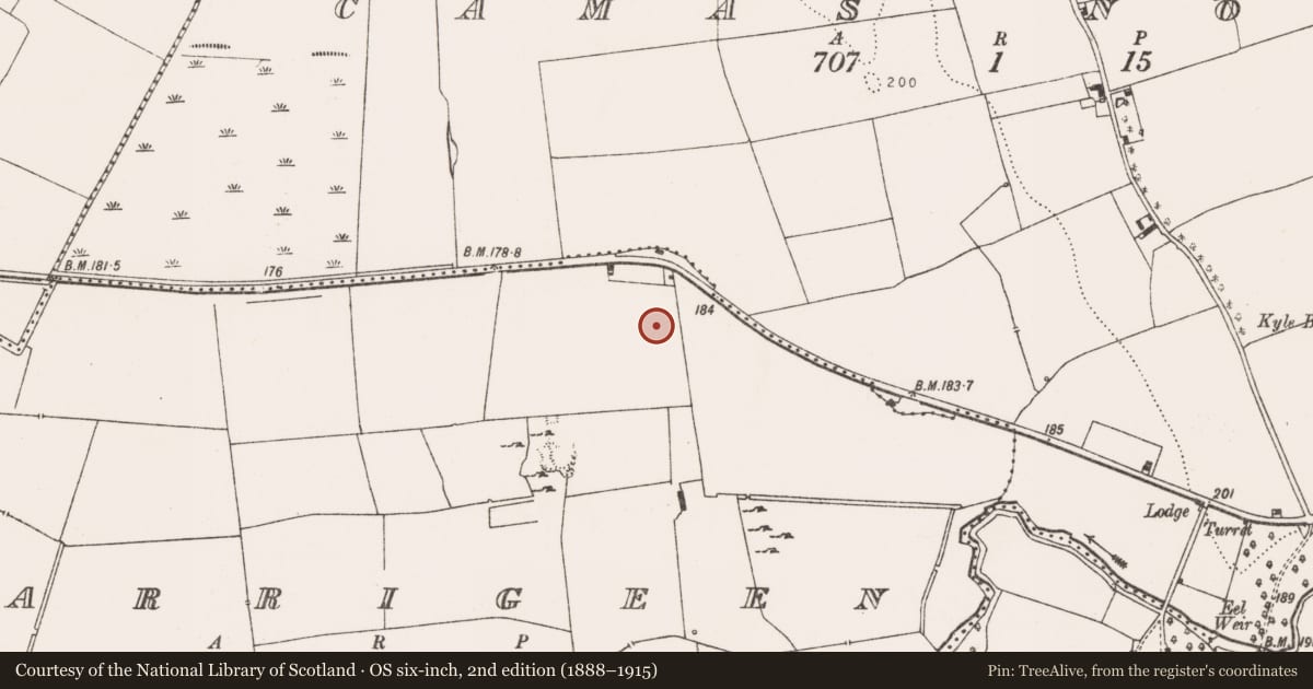 Ordnance Survey six-inch map, 2nd edition (1888–1915) covering the location of Barrow - ring-barrow, Carrigeen, County Limerick, with a pin at the register's coordinates