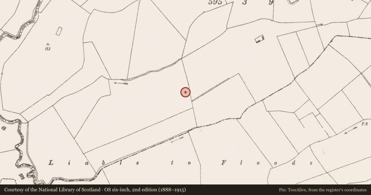 Ordnance Survey six-inch map, 2nd edition (1888–1915) covering the location of Enclosure, Rathmore South, County Limerick, with a pin at the register's coordinates