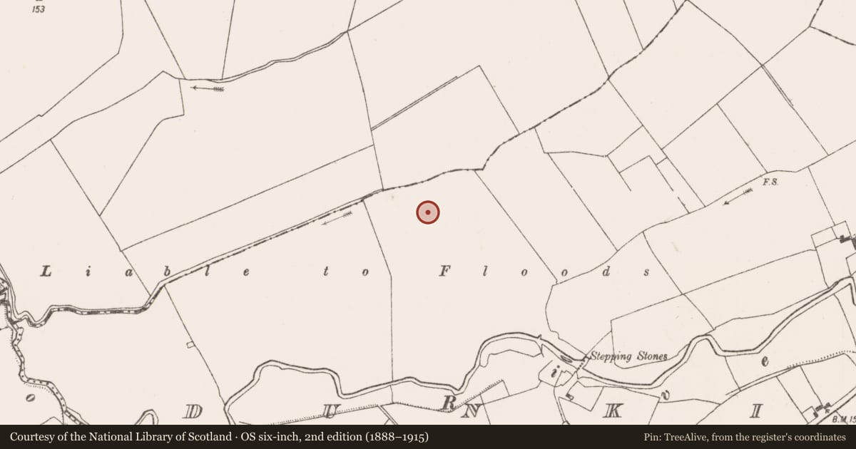 Ordnance Survey six-inch map, 2nd edition (1888–1915) covering the location of Ringfort - rath, Dunkip, County Limerick, with a pin at the register's coordinates