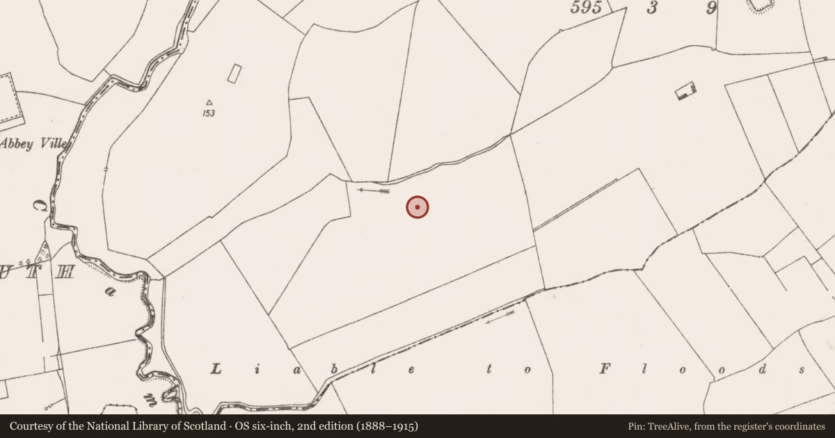 Ordnance Survey six-inch map, 2nd edition (1888–1915) covering the location of Enclosure, Rathmore South, County Limerick, with a pin at the register's coordinates