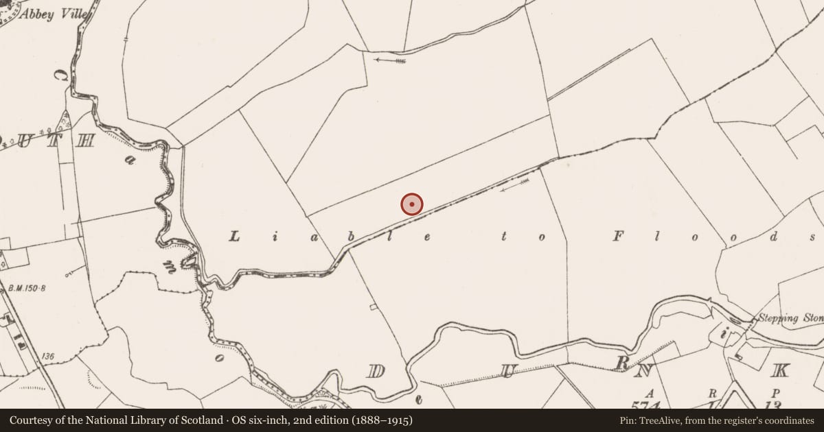 Ordnance Survey six-inch map, 2nd edition (1888–1915) covering the location of Enclosure, Rathmore South, County Limerick, with a pin at the register's coordinates