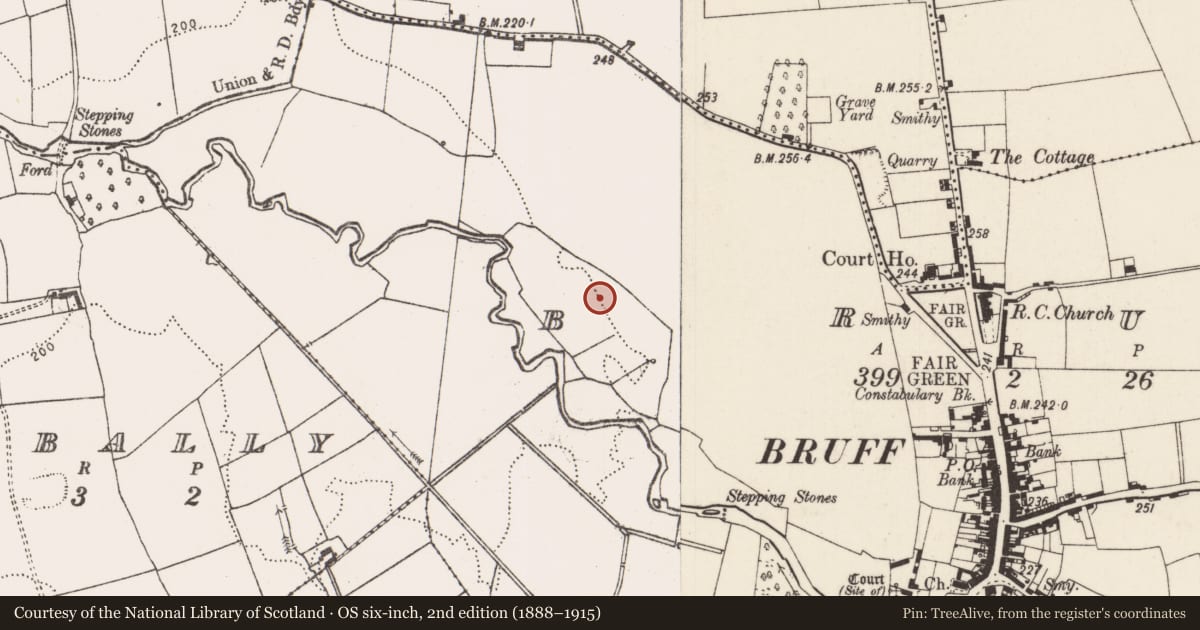 Ordnance Survey six-inch map, 2nd edition (1888–1915) covering the location of Barrow - unclassified, Bruff, County Limerick, with a pin at the register's coordinates