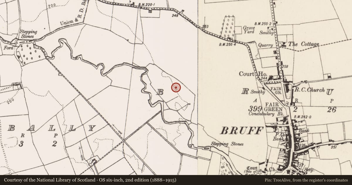 Ordnance Survey six-inch map, 2nd edition (1888–1915) covering the location of Barrow - unclassified, Bruff, County Limerick, with a pin at the register's coordinates