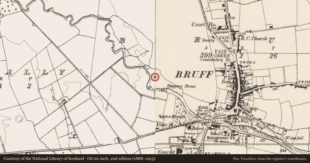 Ordnance Survey six-inch map, 2nd edition (1888–1915) covering the location of Earthwork, Bruff, County Limerick, with a pin at the register's coordinates