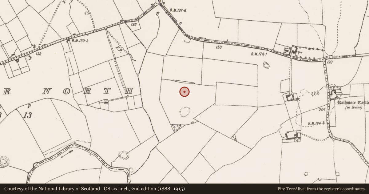 Ordnance Survey six-inch map, 2nd edition (1888–1915) covering the location of Earthwork, Rathmore South, County Limerick, with a pin at the register's coordinates