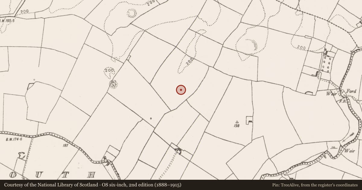 Ordnance Survey six-inch map, 2nd edition (1888–1915) covering the location of Enclosure, Rathmore North, County Limerick, with a pin at the register's coordinates