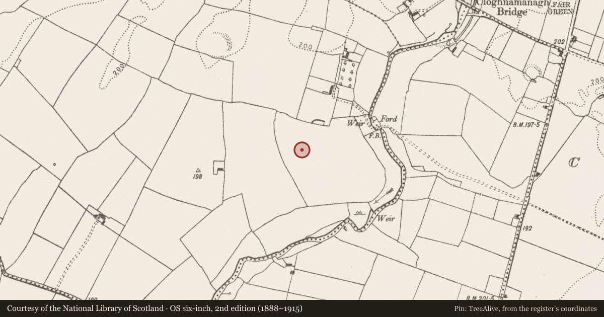 Ordnance Survey six-inch map, 2nd edition (1888–1915) covering the location of Enclosure, Rathmore North, County Limerick, with a pin at the register's coordinates