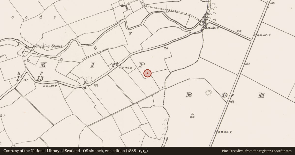 Ordnance Survey six-inch map, 2nd edition (1888–1915) covering the location of Enclosure, Dunkip, County Limerick, with a pin at the register's coordinates