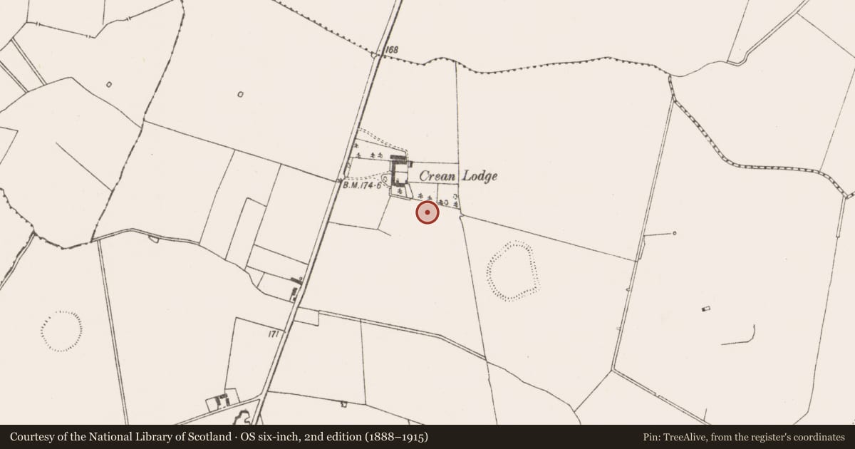 Ordnance Survey six-inch map, 2nd edition (1888–1915) covering the location of Enclosure, Crean, County Limerick, with a pin at the register's coordinates