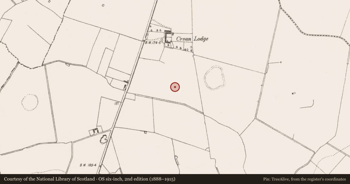 Ordnance Survey six-inch map, 2nd edition (1888–1915) covering the location of Enclosure, Crean, County Limerick, with a pin at the register's coordinates