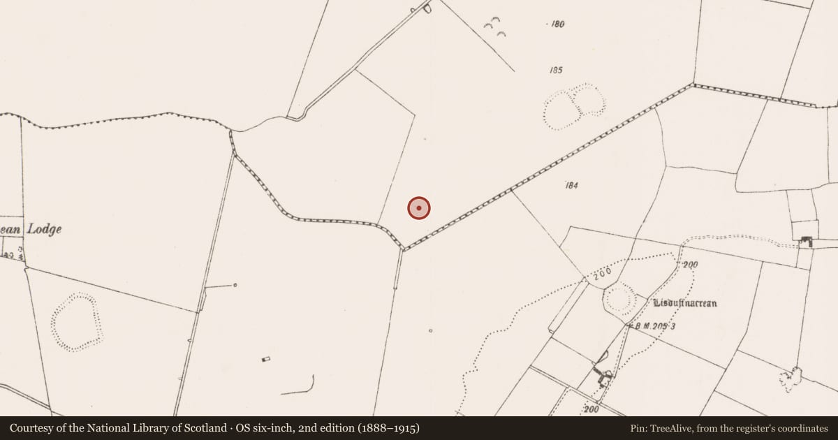 Ordnance Survey six-inch map, 2nd edition (1888–1915) covering the location of Enclosure, Boherygeela, County Limerick, with a pin at the register's coordinates